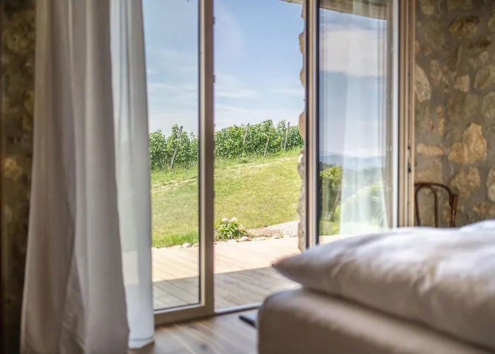 Winzarei Ciringa Stampfer Svecina